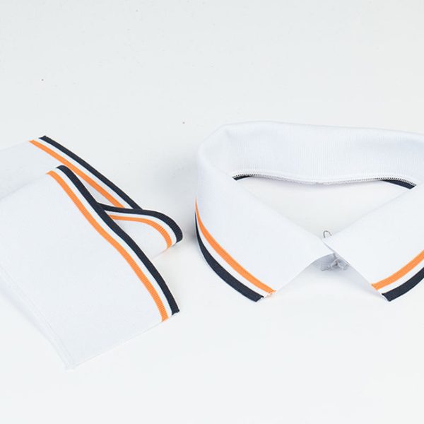 Bo det co ao polo 15