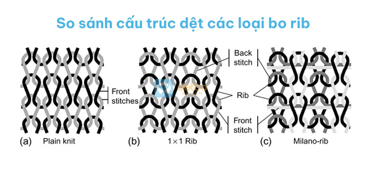 So sanh cau truc det cac loai bo rib